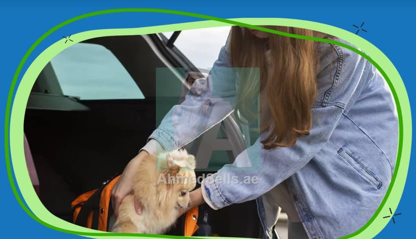 Pick Up & Drop Off pets